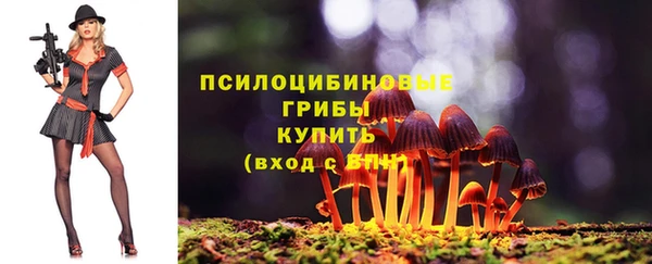 альфа пвп Заволжье