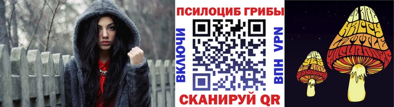 Псилоцибиновые грибы мицелий  Купить где  Кедровый 