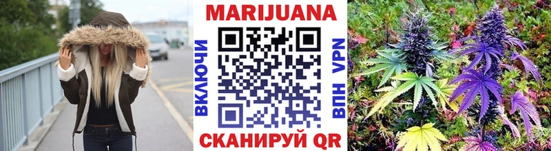 Купить закладки  Кедровый  Бошки Шишки тримм 